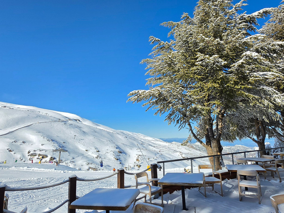 HG玛丽贝尔酒店主图
