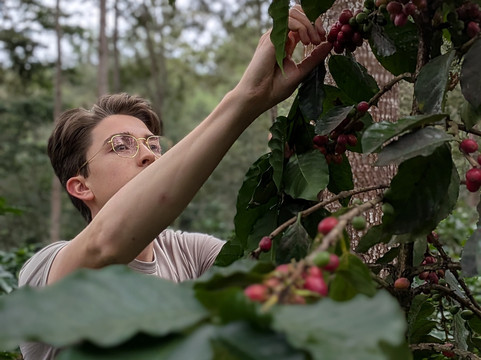 Spirit Mountain-Jarabacoa必去景点