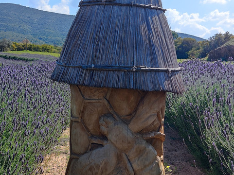 Bee Garden Alghero-阿尔盖罗必去景点