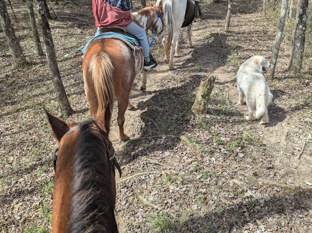 Barnyard Friends Peting Zoo-Morrilton必去景点