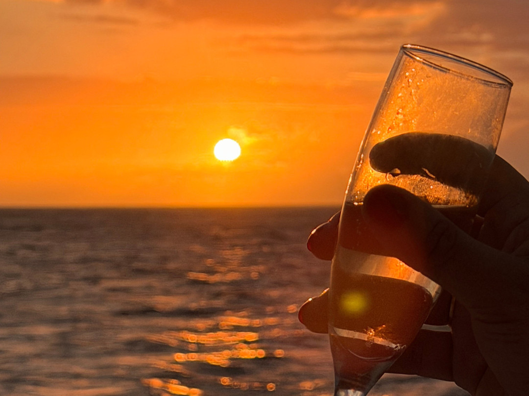 FestiYacht de Bourbon-Le Port必去景点