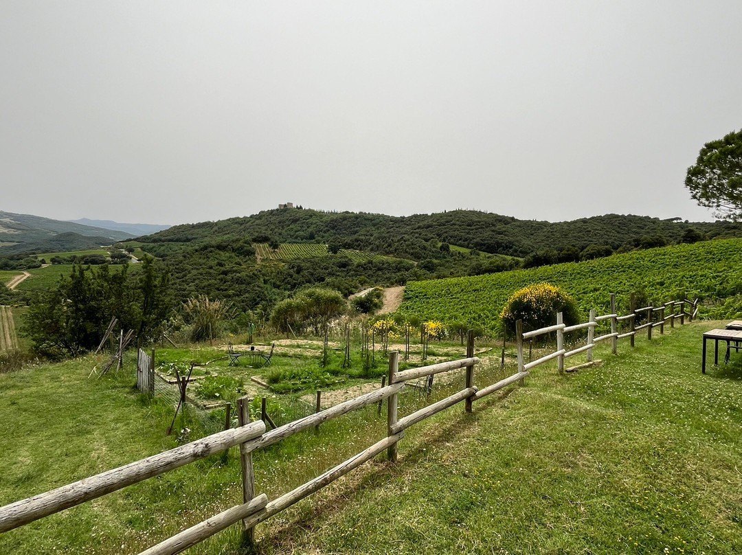 Molino di Sant'Antimo-Castelnuovo dell'Abate必去景点