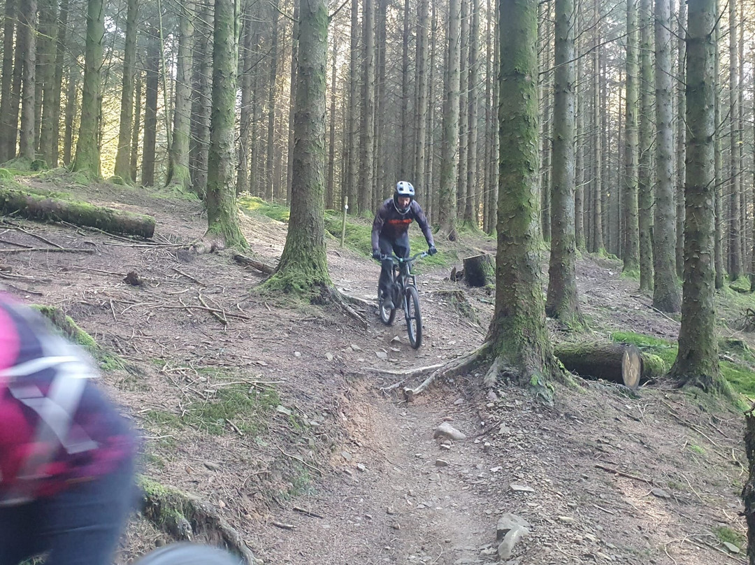 Bike Park Wales-梅瑟蒂德菲尔必去景点