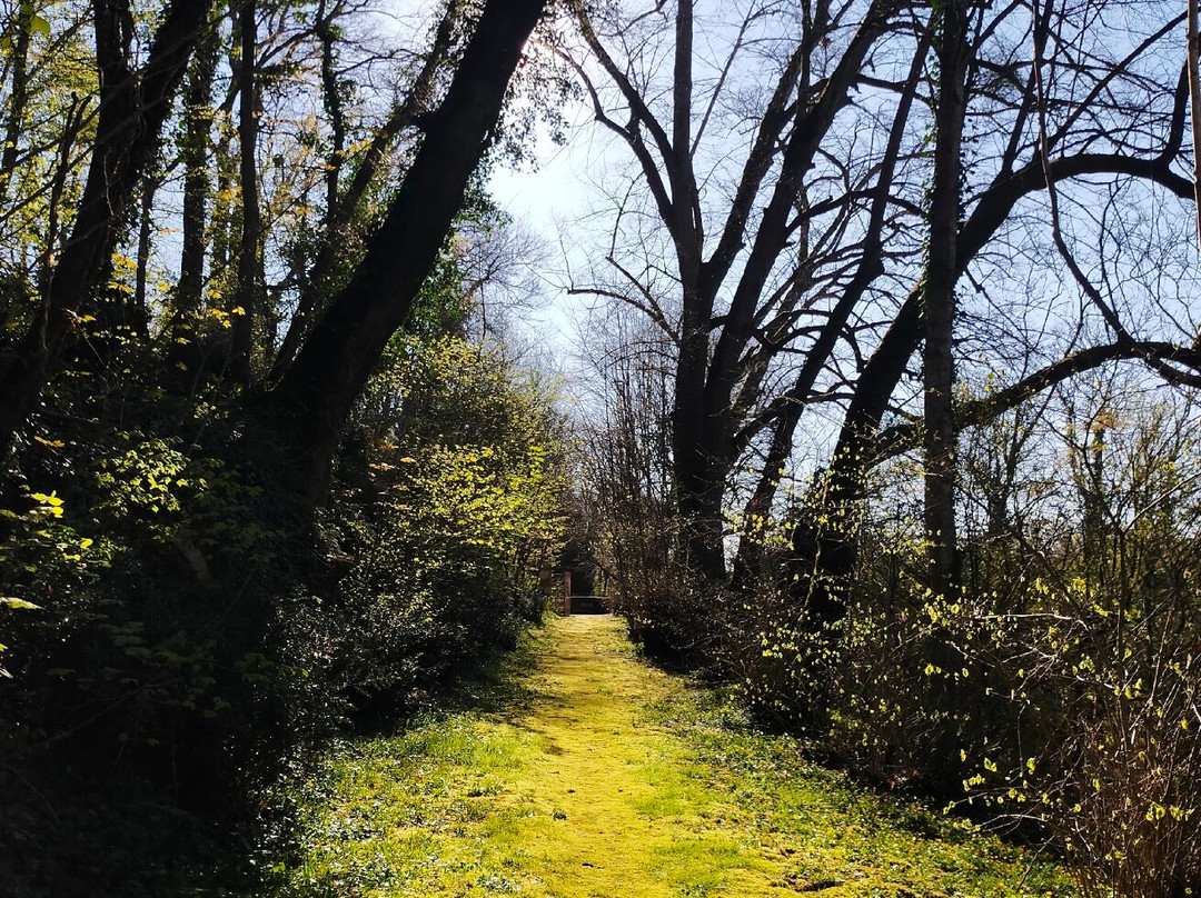 普莱城堡酒店主图