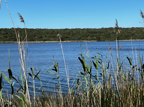 Lac Sidi Boughaba Parc National-Kenitra必去景点