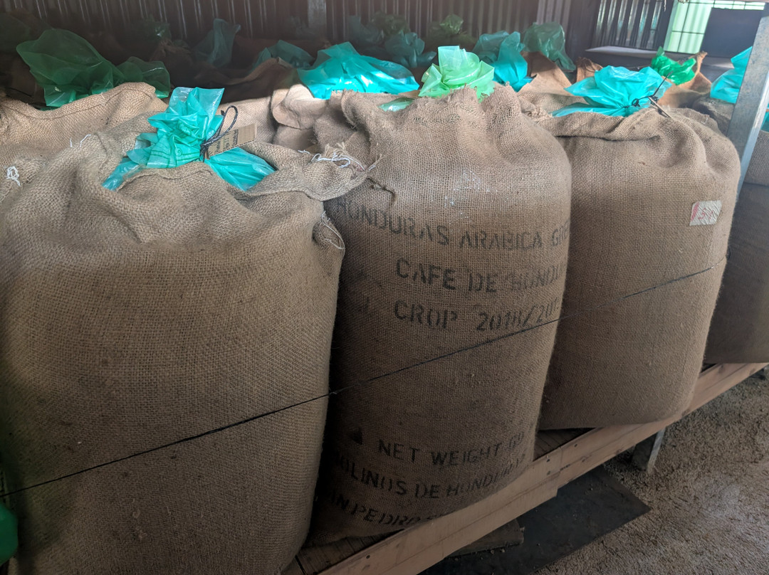 Café Artesanal Los Sauces-奥罗西必去景点