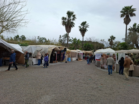 Mercadillo Las Dalias-Sant Carles de Peralta必去景点