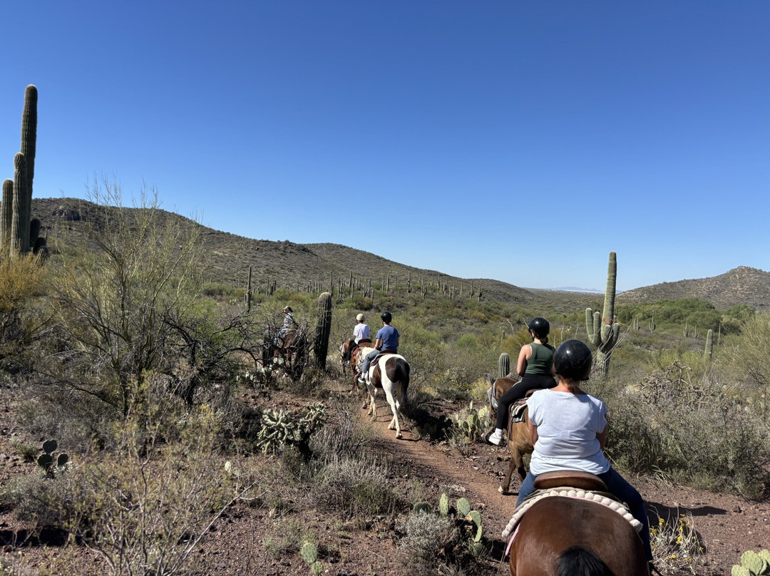 Boomerang Riding Adventures-Vail必去景点