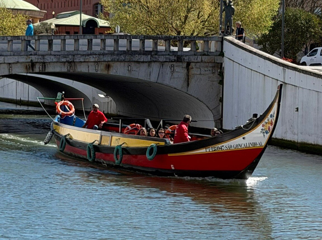 Canal Central de Aveiro-阿威罗必去景点