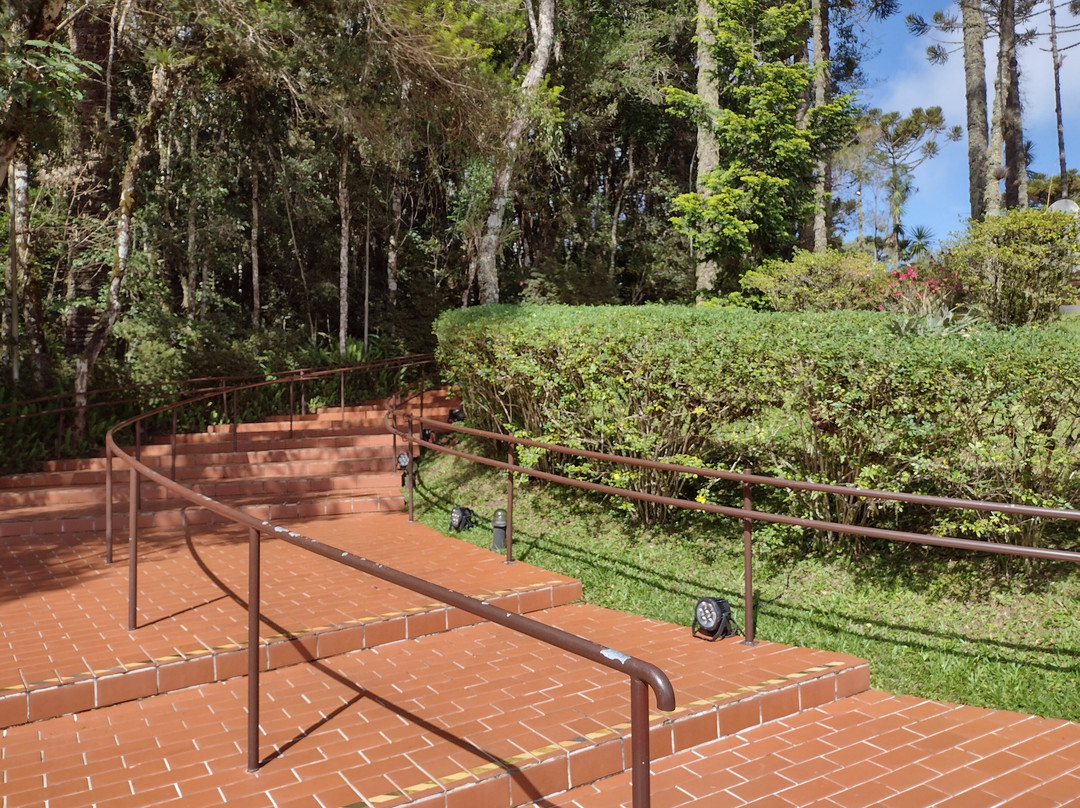 Museu Felícia Leirner-坎普斯－杜若尔当必去景点