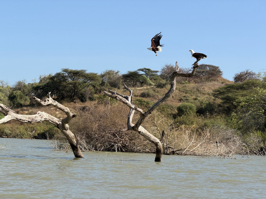 Lake Baringo-Baringo District必去景点