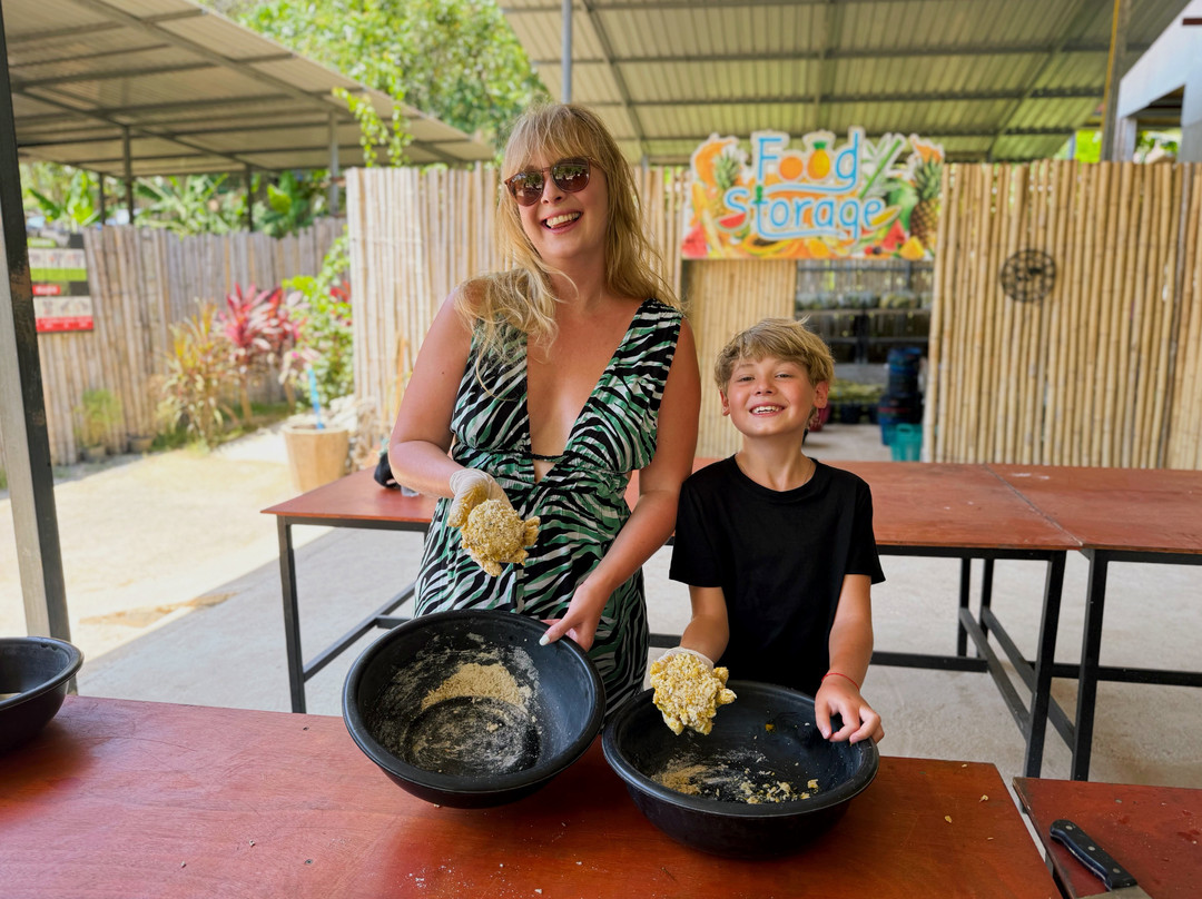 Phuket Elephant Care-奈通必去景点