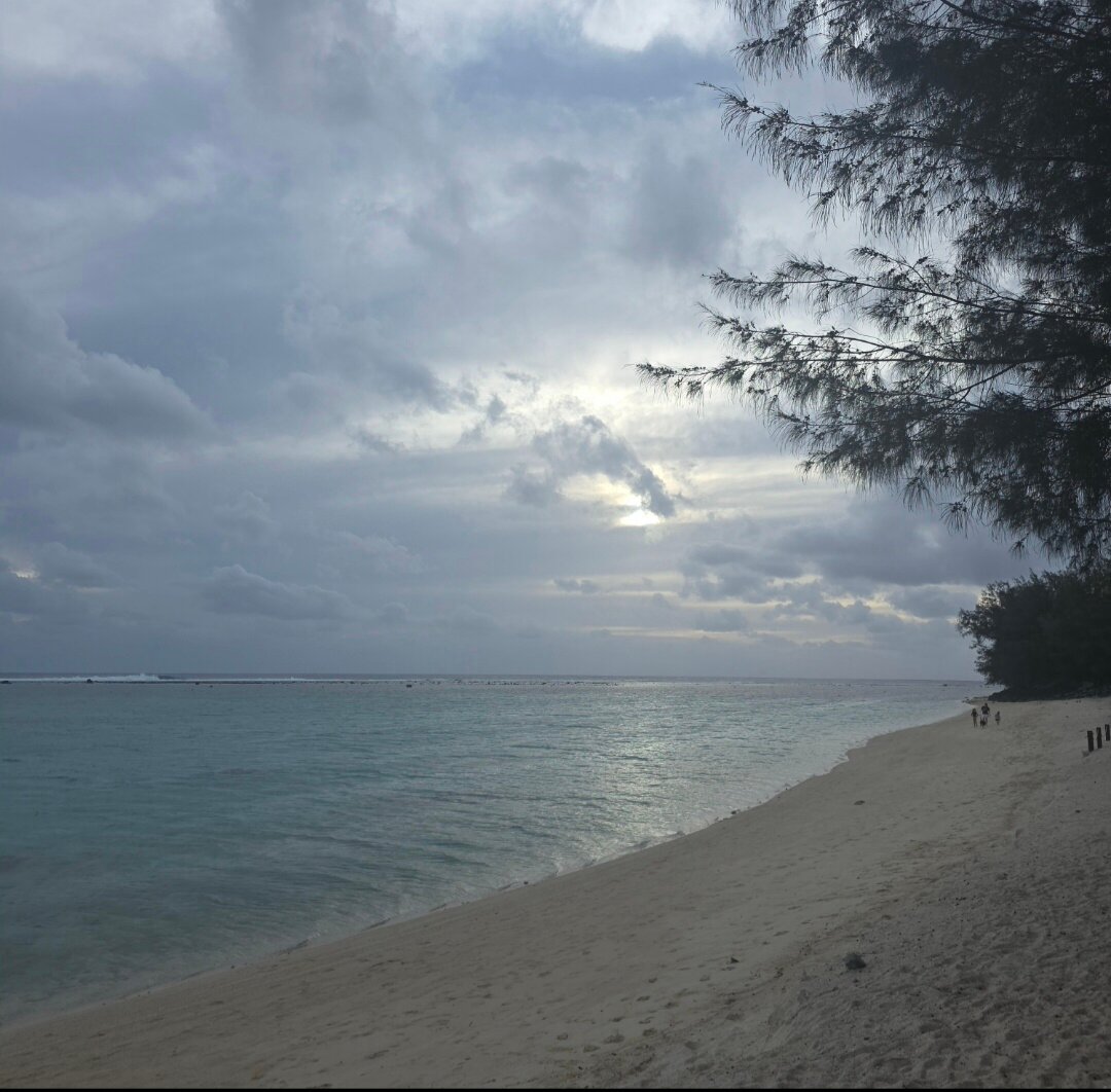 拉罗通加海滩度假村与泻湖水族馆-泳池