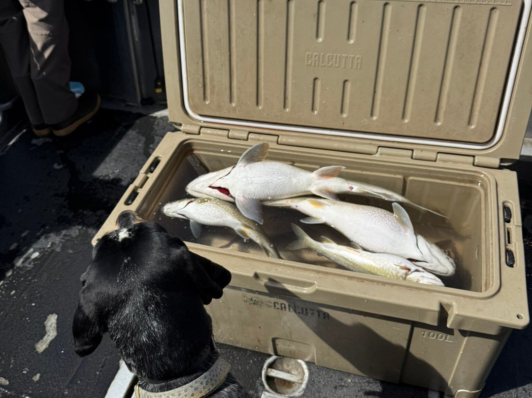 Nor-Cal Charters-Zephyr Cove必去景点