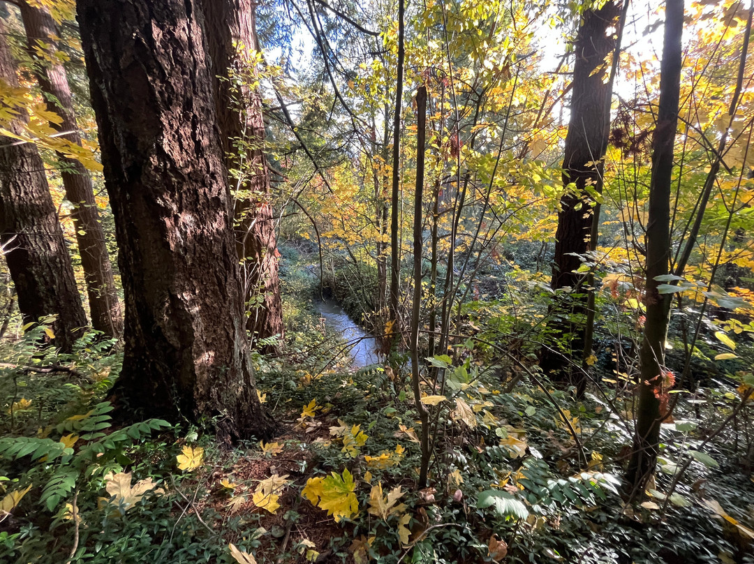 Kane Road Park-格雷舍姆必去景点