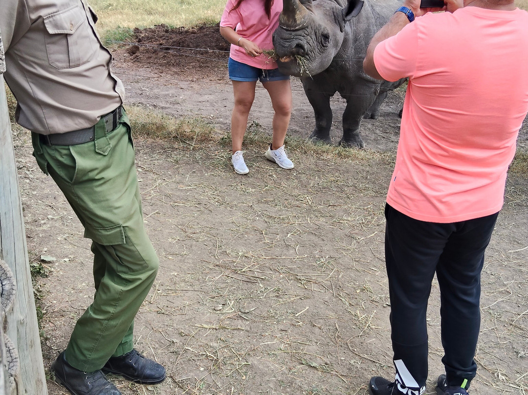 Ahambi Tours-南由基必去景点