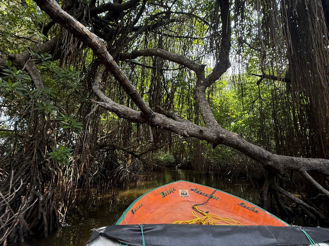 Lucky Boat Safari-班托塔必去景点