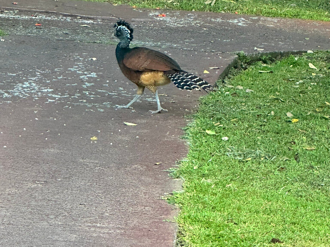 Mountain Paradise Hotel Spa-福德圣卡洛斯必去景点