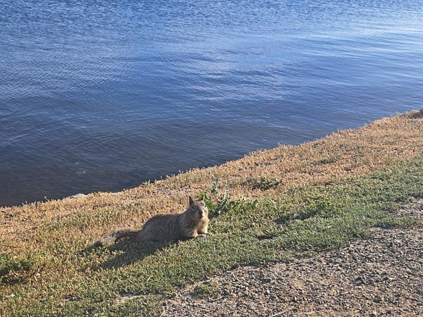 帕罗奥图海湾湿地自然保护区-帕罗奥多必去景点