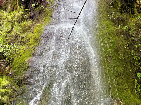 Tahiti Safari Expedition-阿鲁埃必去景点