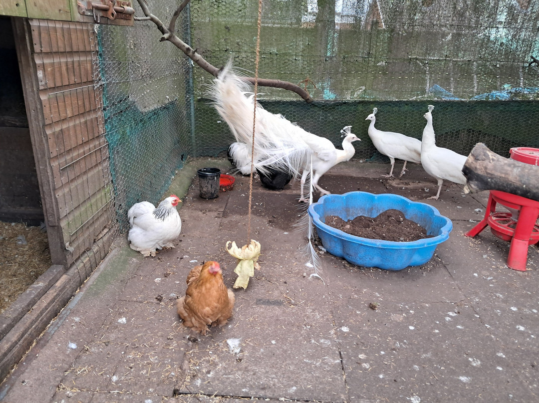 凯日曼考特庄园酒店主图