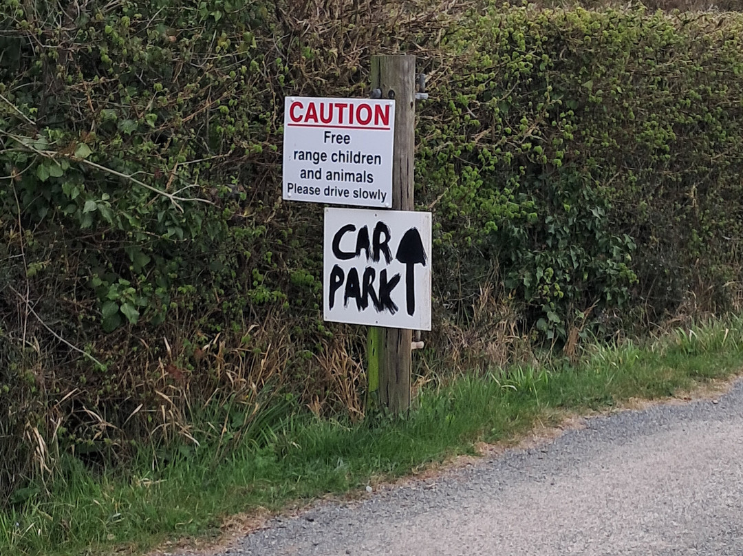 Burton Springs Fishing and Holidays-布里奇沃特必去景点