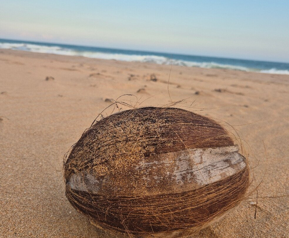 Dilro Travels & Tours-西部省必去景点