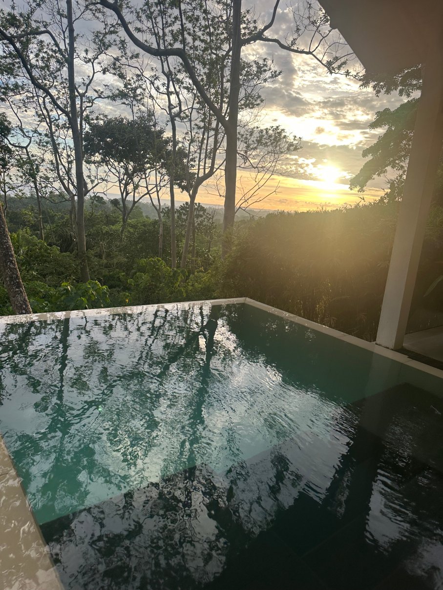 纯净之境水疗度假酒店-客卧