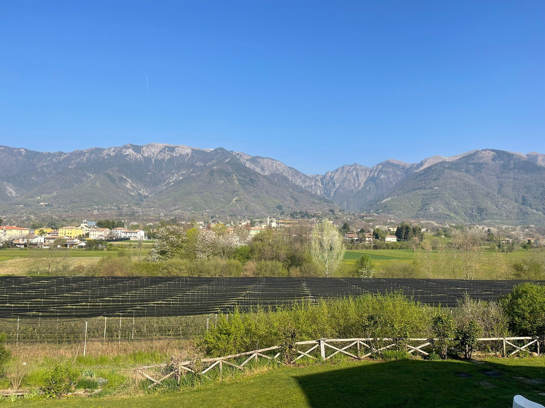 Agriturismo CasaMela主图