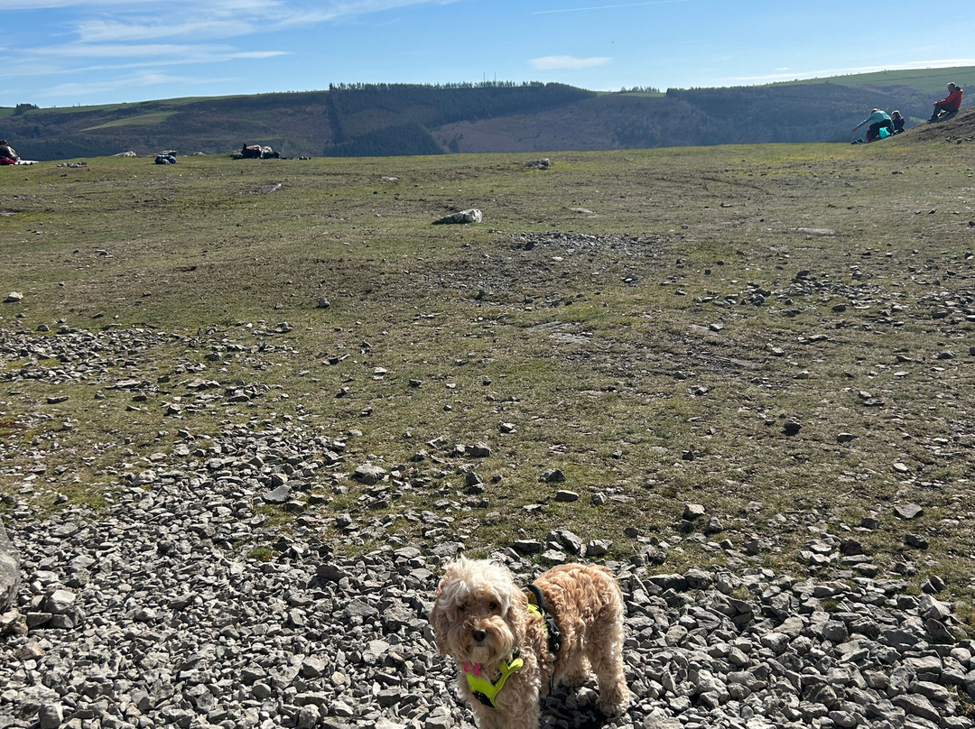 TNR Outdoors-兰戈伦必去景点