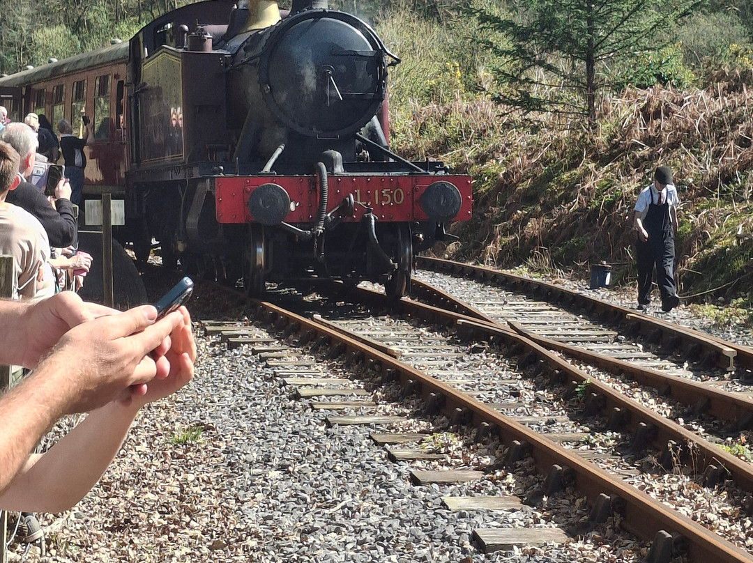 Gwili Railway-喀麦登必去景点