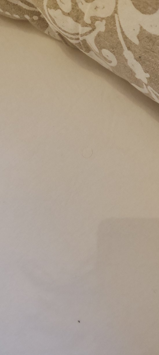 Casa Rowe B&B-官方