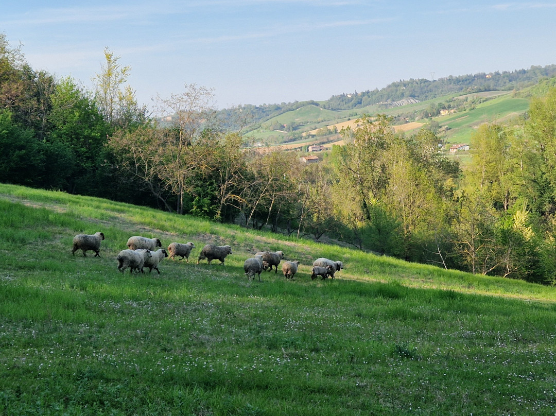 Agriturismo Fattoria Quercia主图