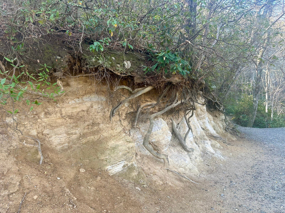 Hickory Nut Falls Trail-Chimney Rock必去景点