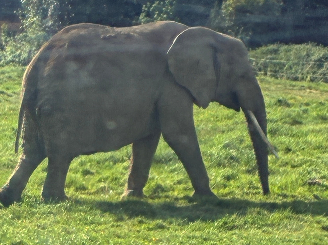 Planète Sauvage-Port-Saint-Pere必去景点