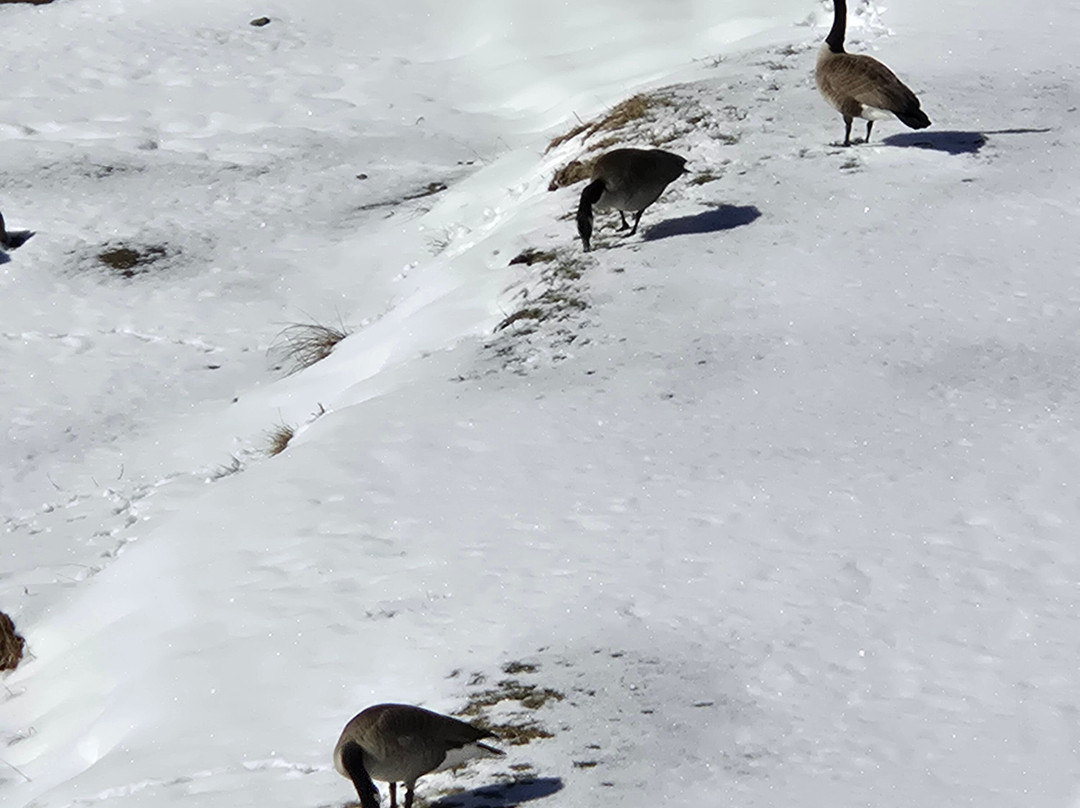 Water's Edge Inn主图