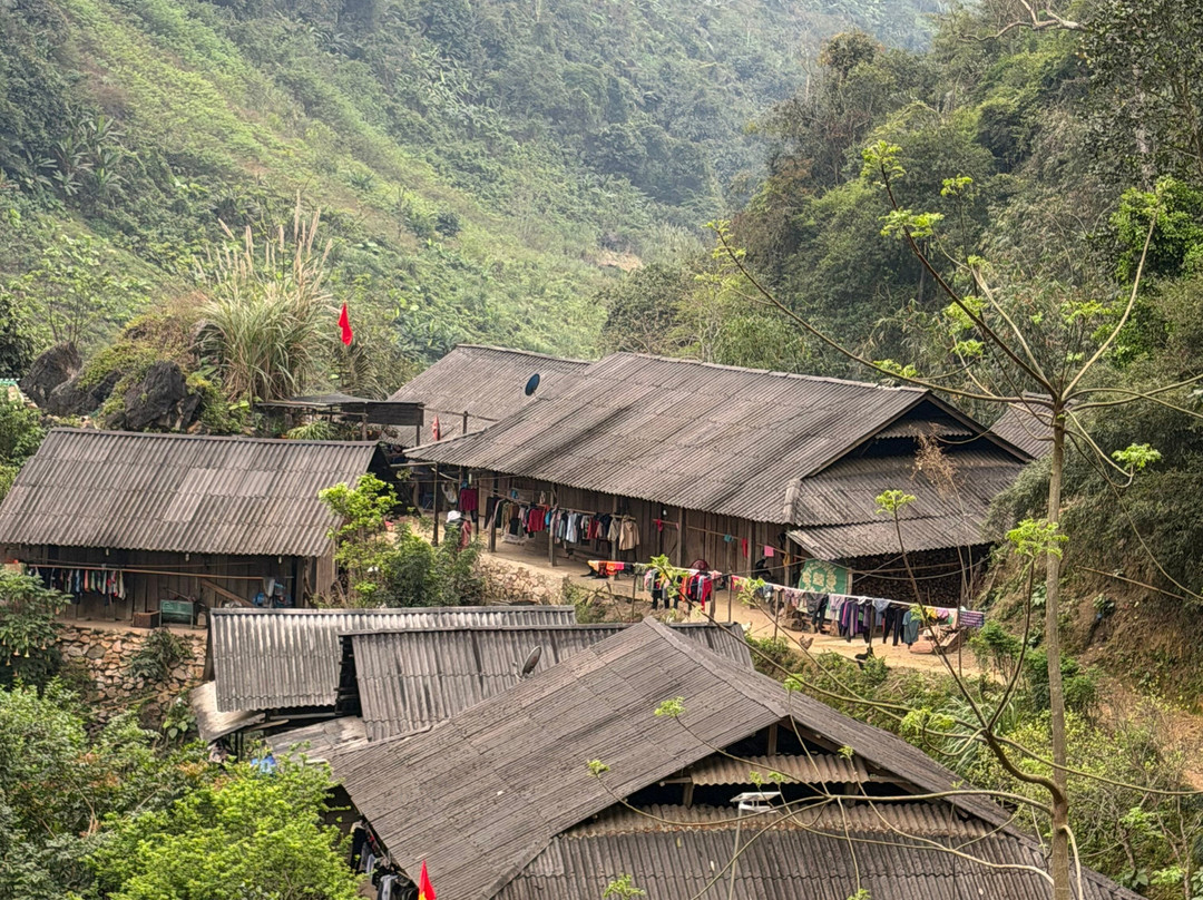 Ba Be Jungle Houses主图