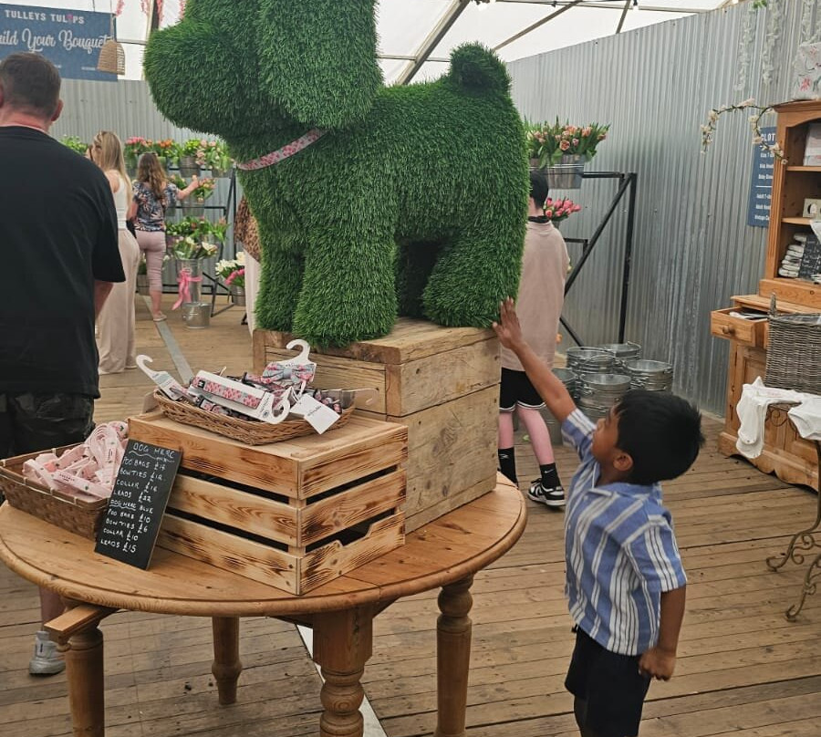 Tulleys Tulip Garden - Warwickshire-沃里克必去景点