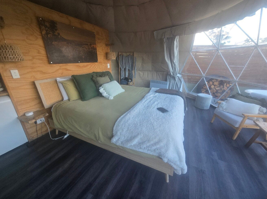 Domescapes in the Vines主图