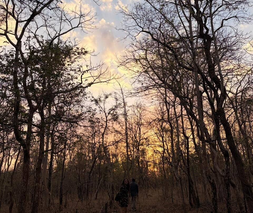 潘趣丛林营地酒店主图