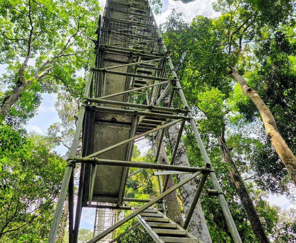 Ulu Temburong National Park-乌鲁淡布伦国家公园必去景点