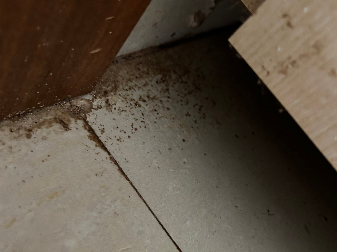 Hotel Sea Fans主图