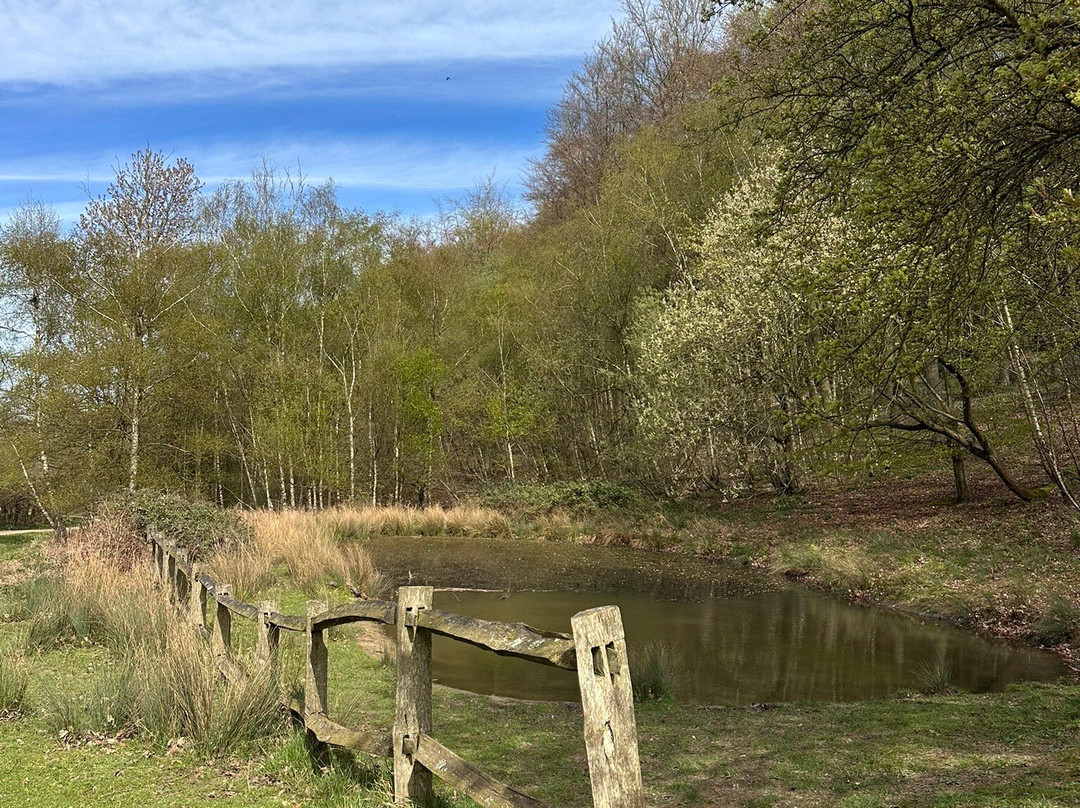 King's Wood-Challock必去景点