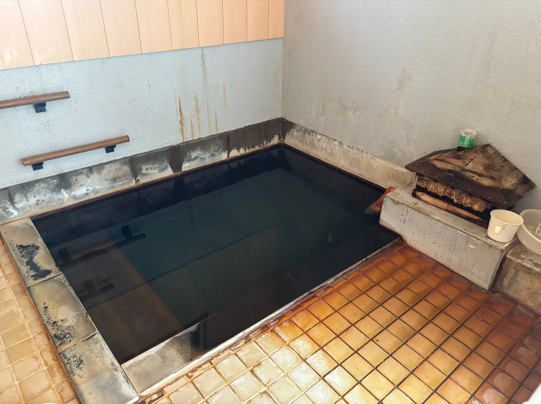 Hanesawa Onsen Kyodo Yokujo-鲑川村必去景点