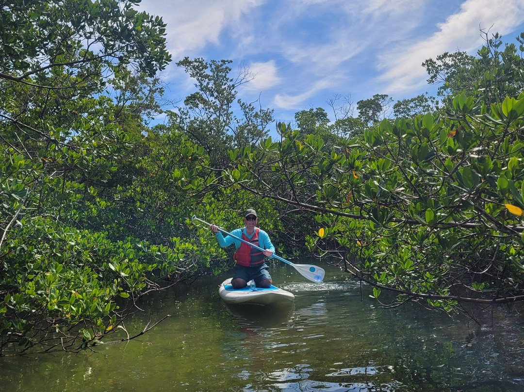 SUP Englewood - Don Pedro Island Location-Placida必去景点