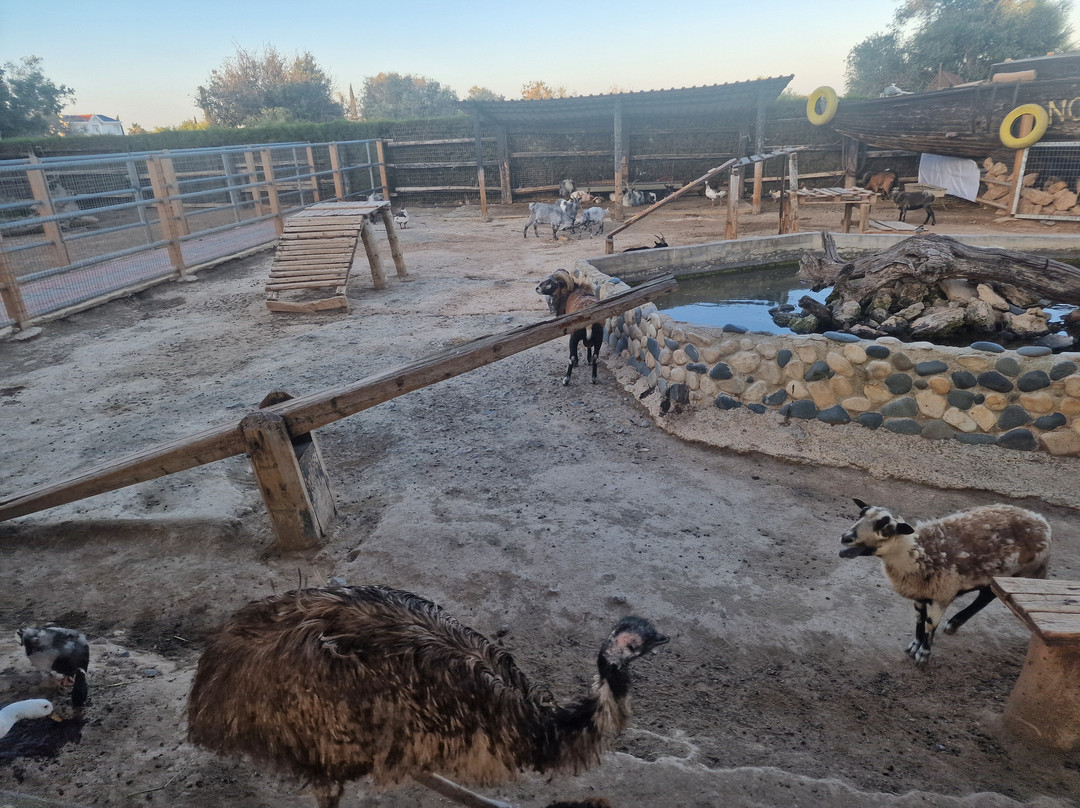 Camel Park-玛佐托斯必去景点