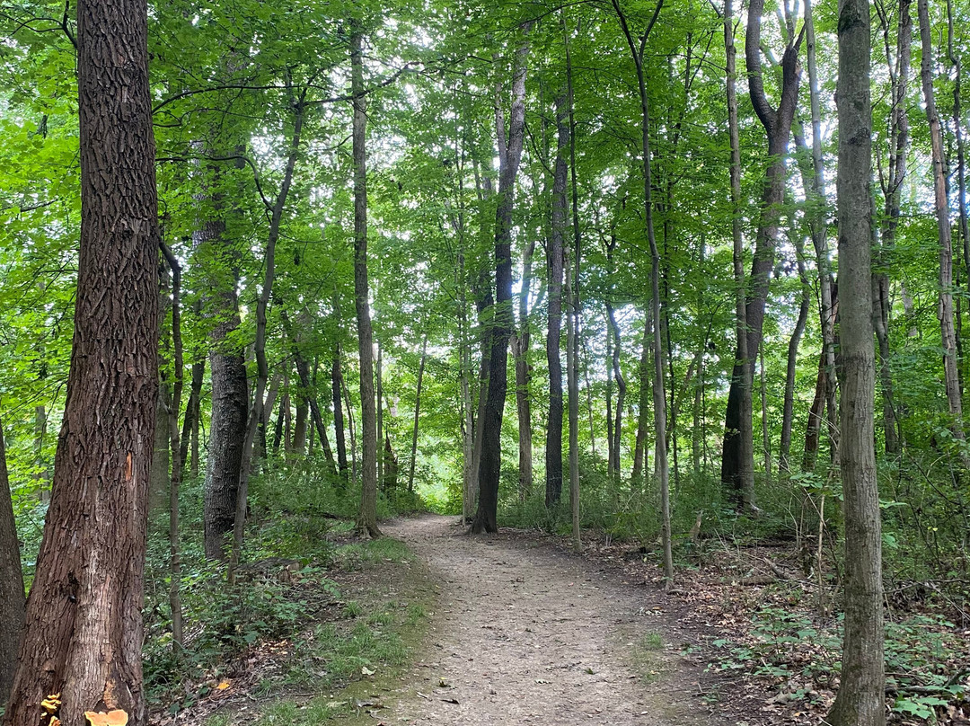 F.A. Seiberling Nature Realm-阿克伦必去景点
