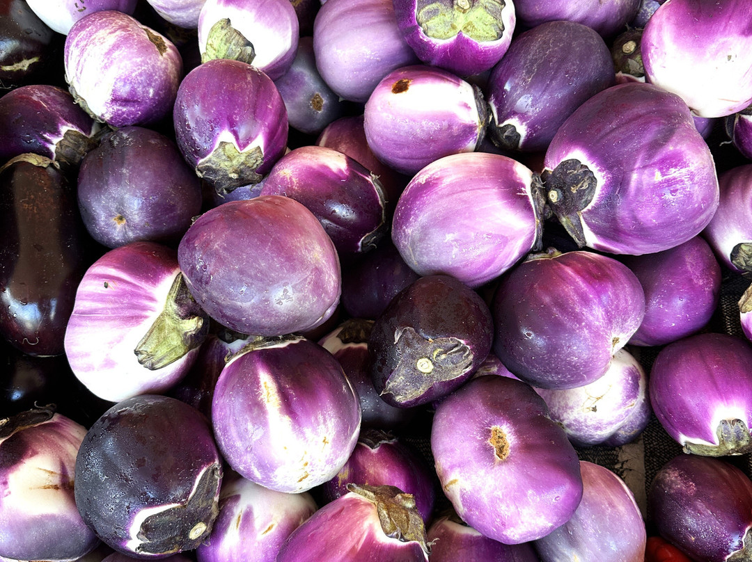 Bedner's Farm Fresh Market-德拉海滩必去景点