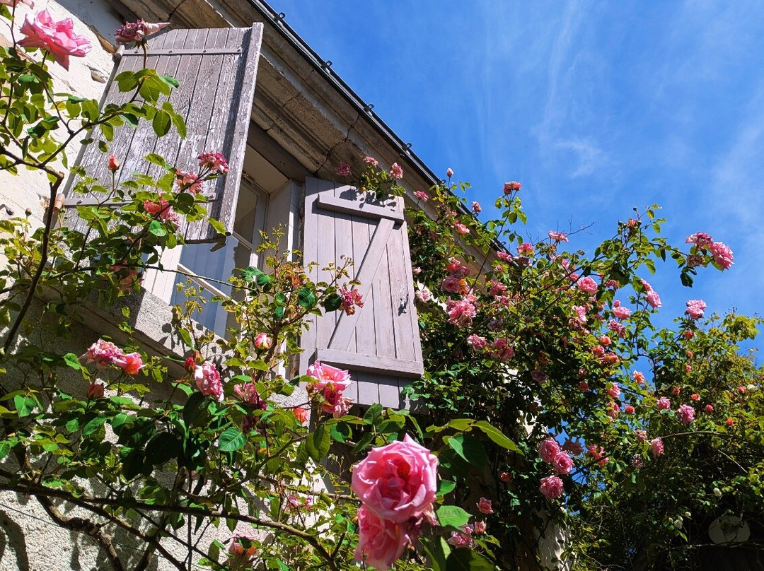 Le Clos aux Roses主图