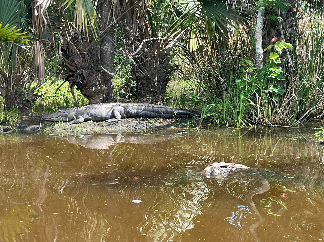Cajun Pride Swamp Tours-LaPlace必去景点